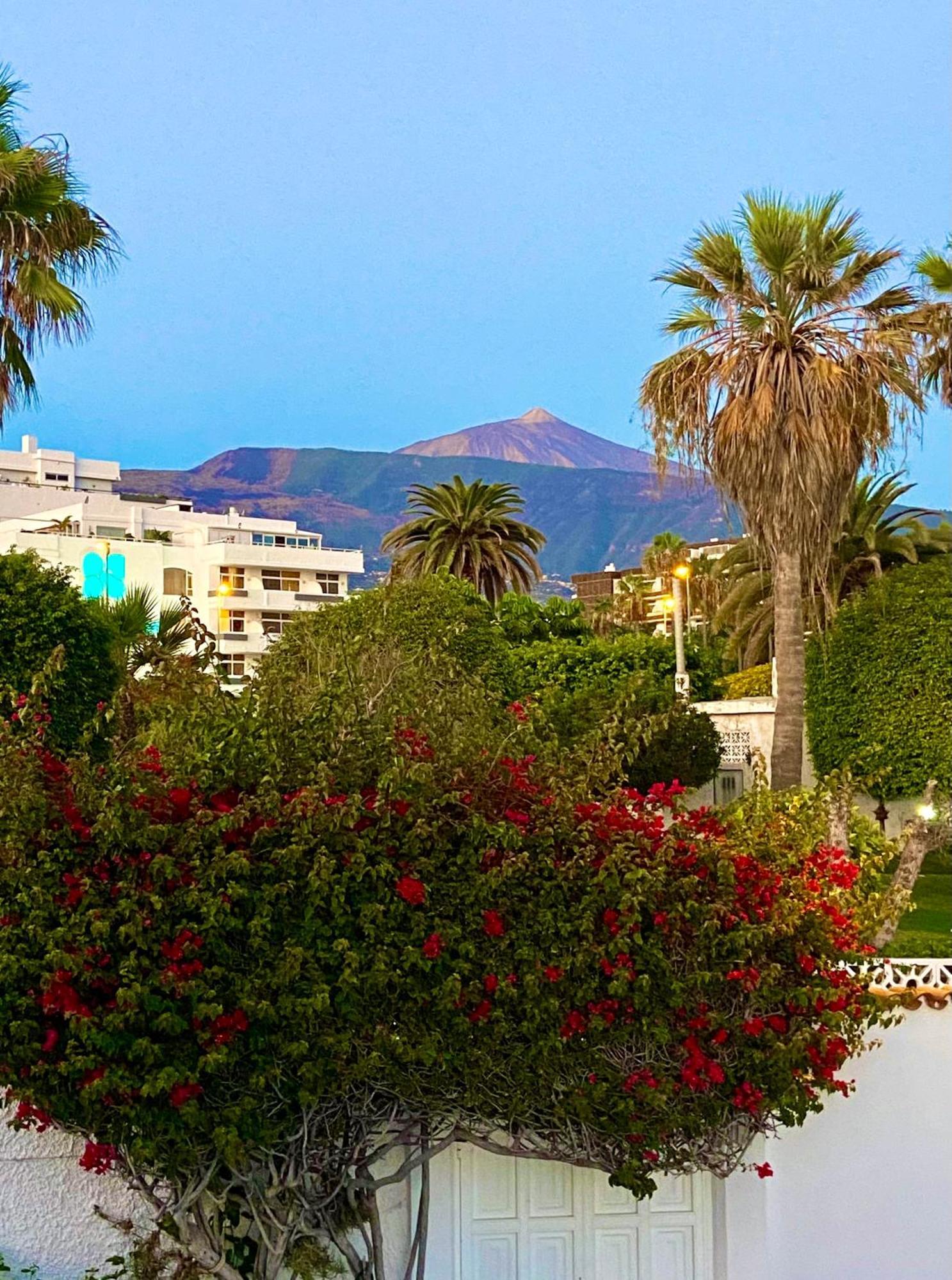 Villa Oasis La Paz - Pelinor Studio - Adults Only Пуэрто-де-ла-Крус Экстерьер фото