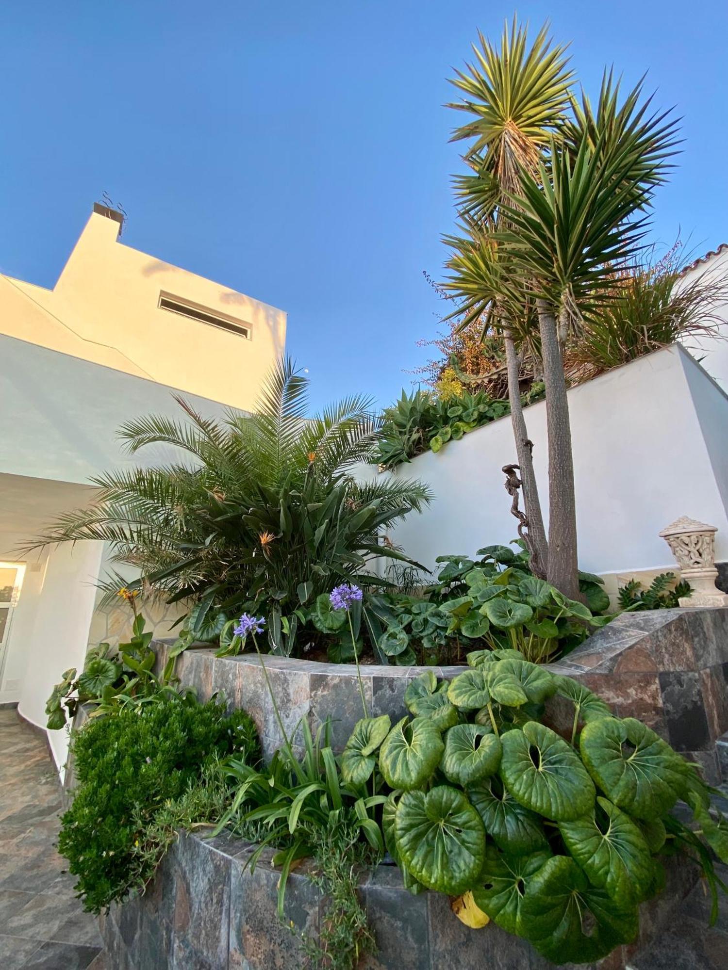 Villa Oasis La Paz - Pelinor Studio - Adults Only Пуэрто-де-ла-Крус Экстерьер фото